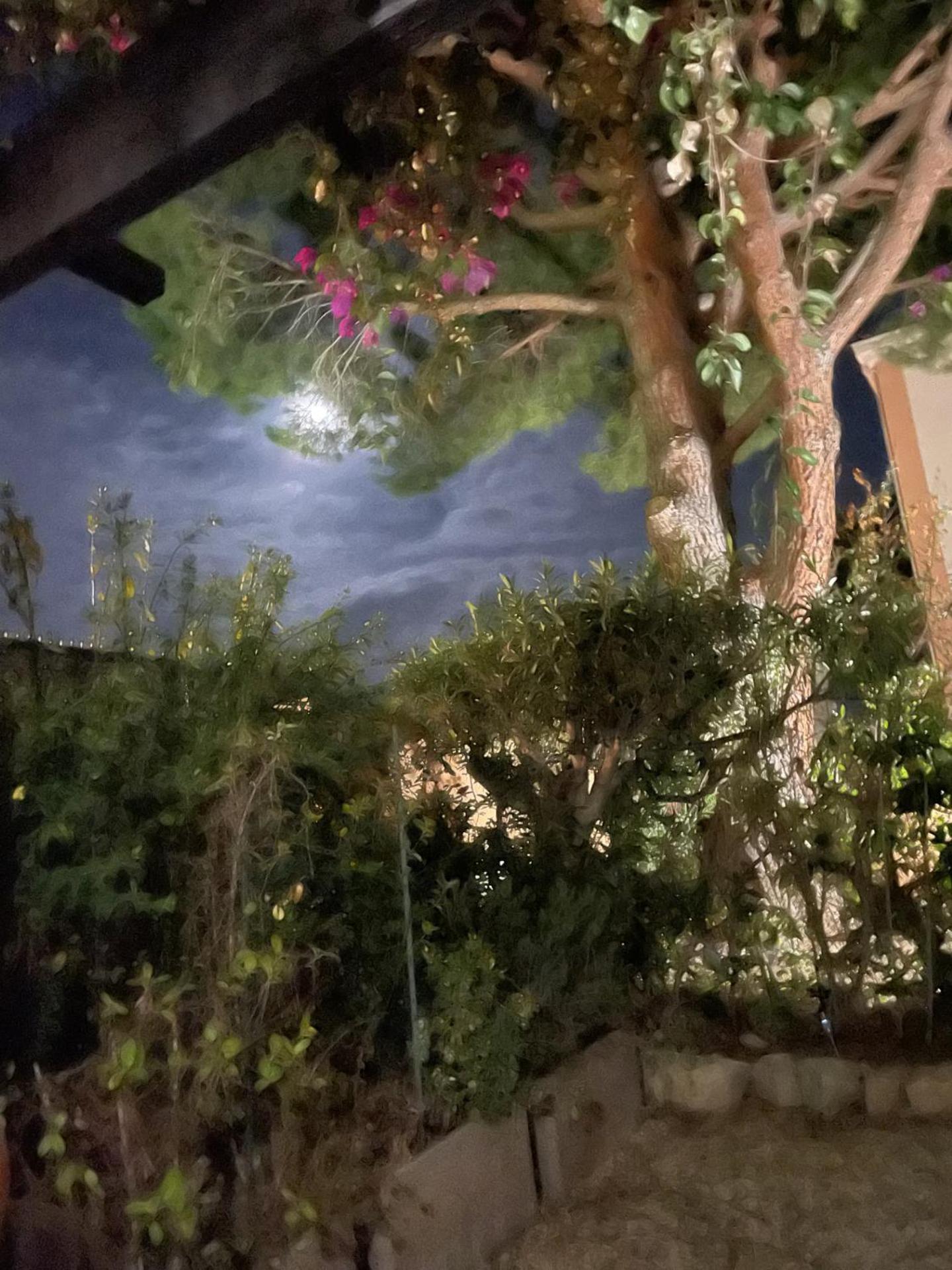 Studio Bandol Avec Jardin Exterior photo